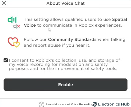 Consent to Voice Recording