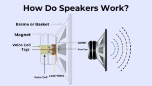 How Do Speakers Work