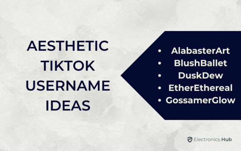 1350+ Coolest TikTok Username Ideas - ElectronicsHub USA