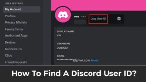 How To Find A Discord User ID