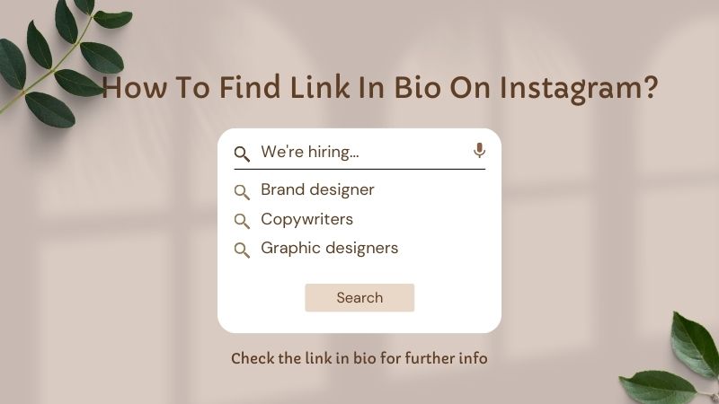 How To Find Link In Bio On Instagram?