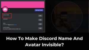 How To Make Discord Name And Avatar Invisible