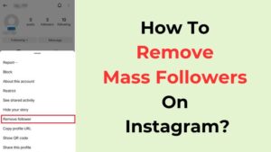 How To Remove Mass Followers On Instagram