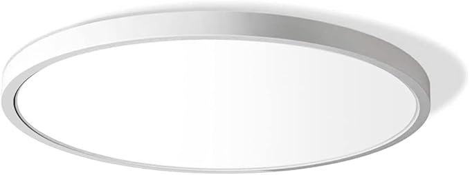 LightingWill LED Flush Mount Ceiling Light