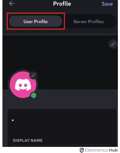 User Profile - Discord Avatar Invisible