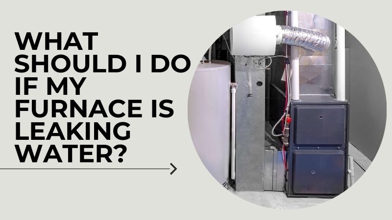 Furnace Is Leaking Water At The Bottom www.electronicshub.org