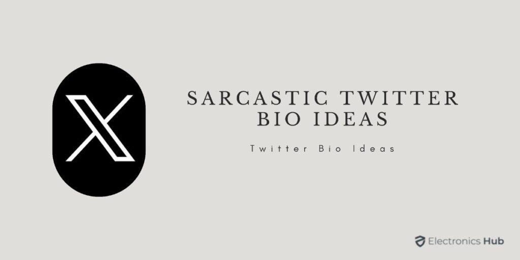 sarcastic twitter bio ideas